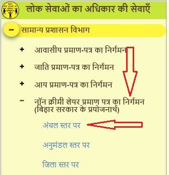 OBC NCL Certificate Online2
